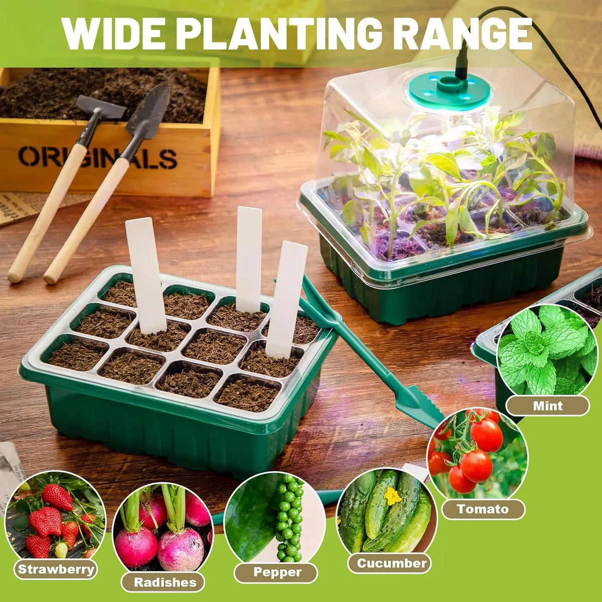 Seed starter tray with grow light and humidity dome
