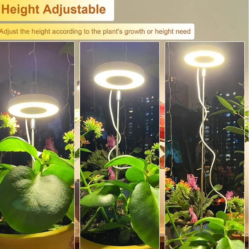 LED grow light for indoor plants
