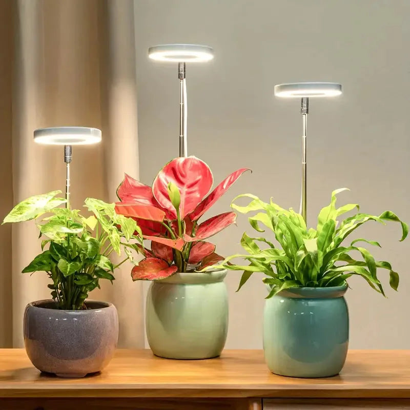 LED grow light for indoor plants