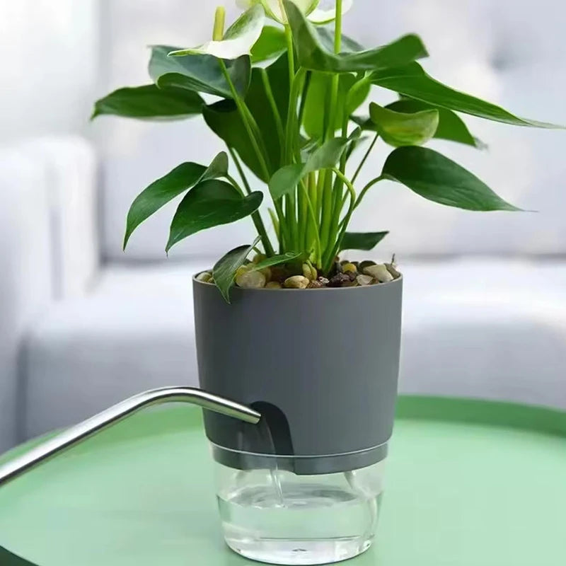 Self-watering plant pot with clear water reservoir
