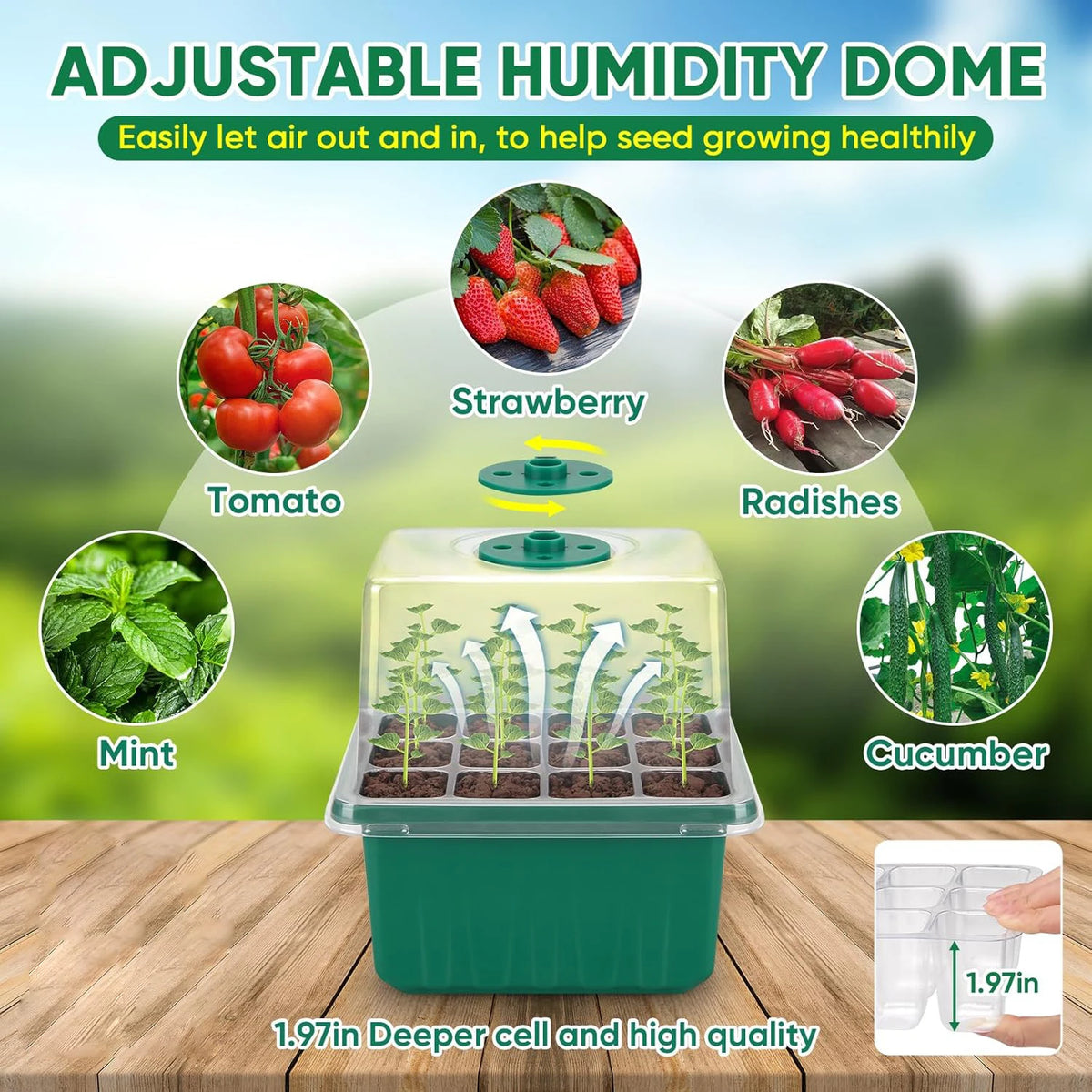 Seed starter tray with grow light and humidity dome