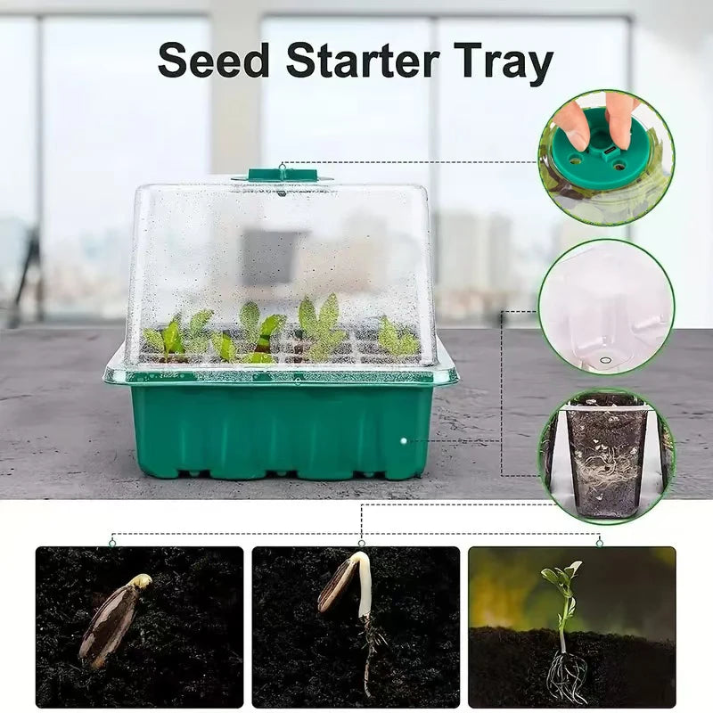 Seed starter tray with grow light and humidity dome