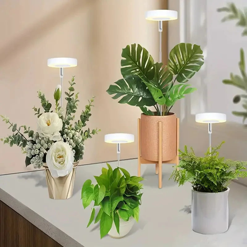 LED grow light for indoor plants