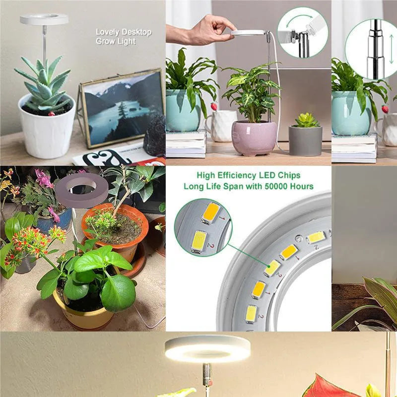LED grow light for indoor plants