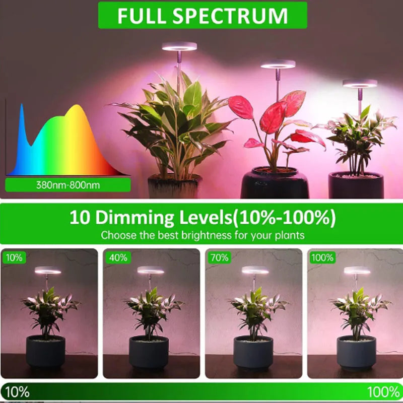 LED grow light for indoor plants