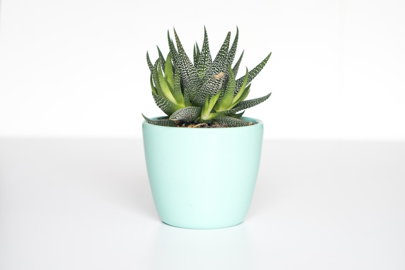Self-watering planter with water level indicator